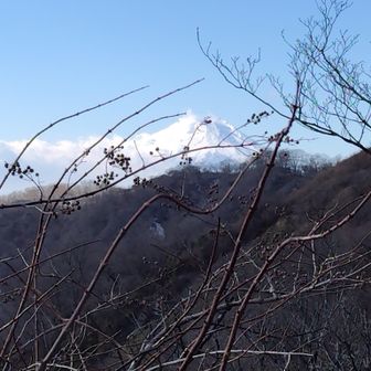 木ノ又大日から