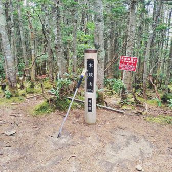 木賊山山頂。展望はなし。