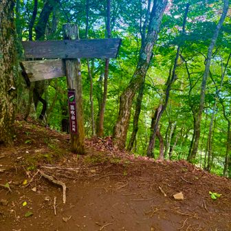 釈迦は左。今日は黒岳に