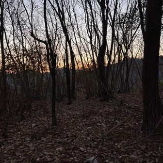 ヤブは手前だけだった😅
枝分かれする道に迷いながらブル道終点から、バリで落ち葉ツルツル地帯を直登。
岩がチラホラ見えて来ると、狼煙台でもあったような広い山頂が湯ノ沢山。
もう日が暮れていた。