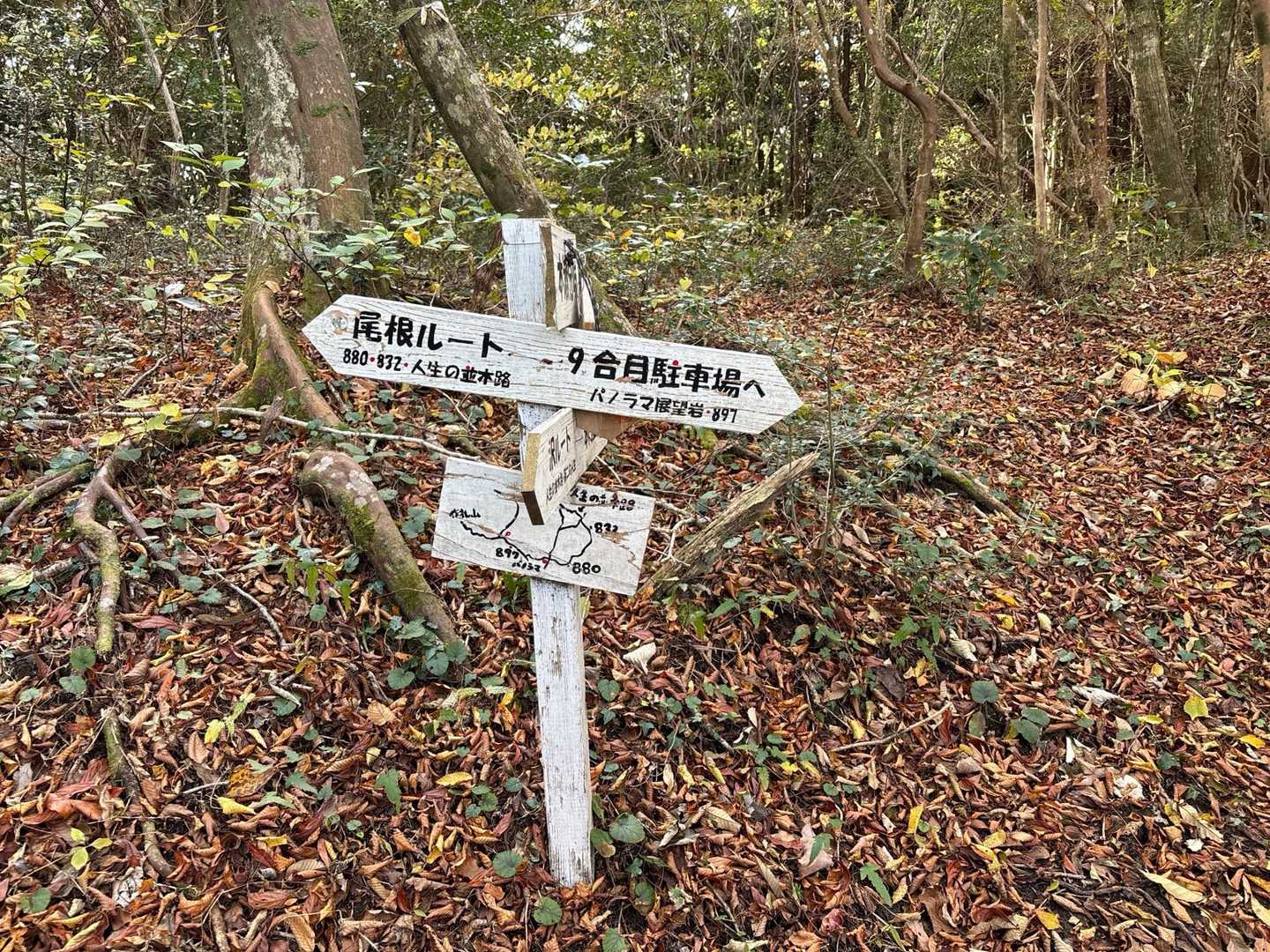 さえ！
ツーショット📸は　非公開にしての
次の　ルート　人生の並木道へ
