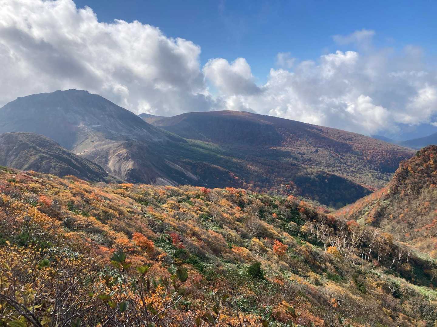 隠居倉へ向かうルートからの紅葉🍁