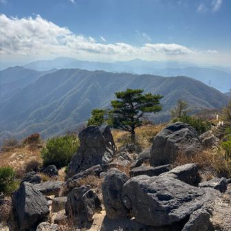良き眺め
富士山は隠れてしまった🥲