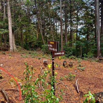 次は天神山