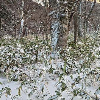 周りはこんな感じ