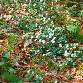 みんなあっち向いてる〜