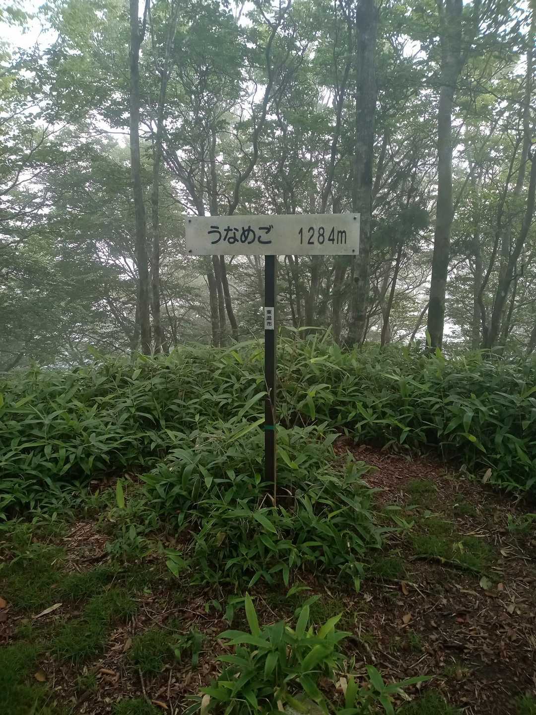 上林峠-陣ヶ森-前々司山-うなめご 往復コースの写真