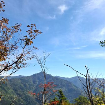 隣は天主山