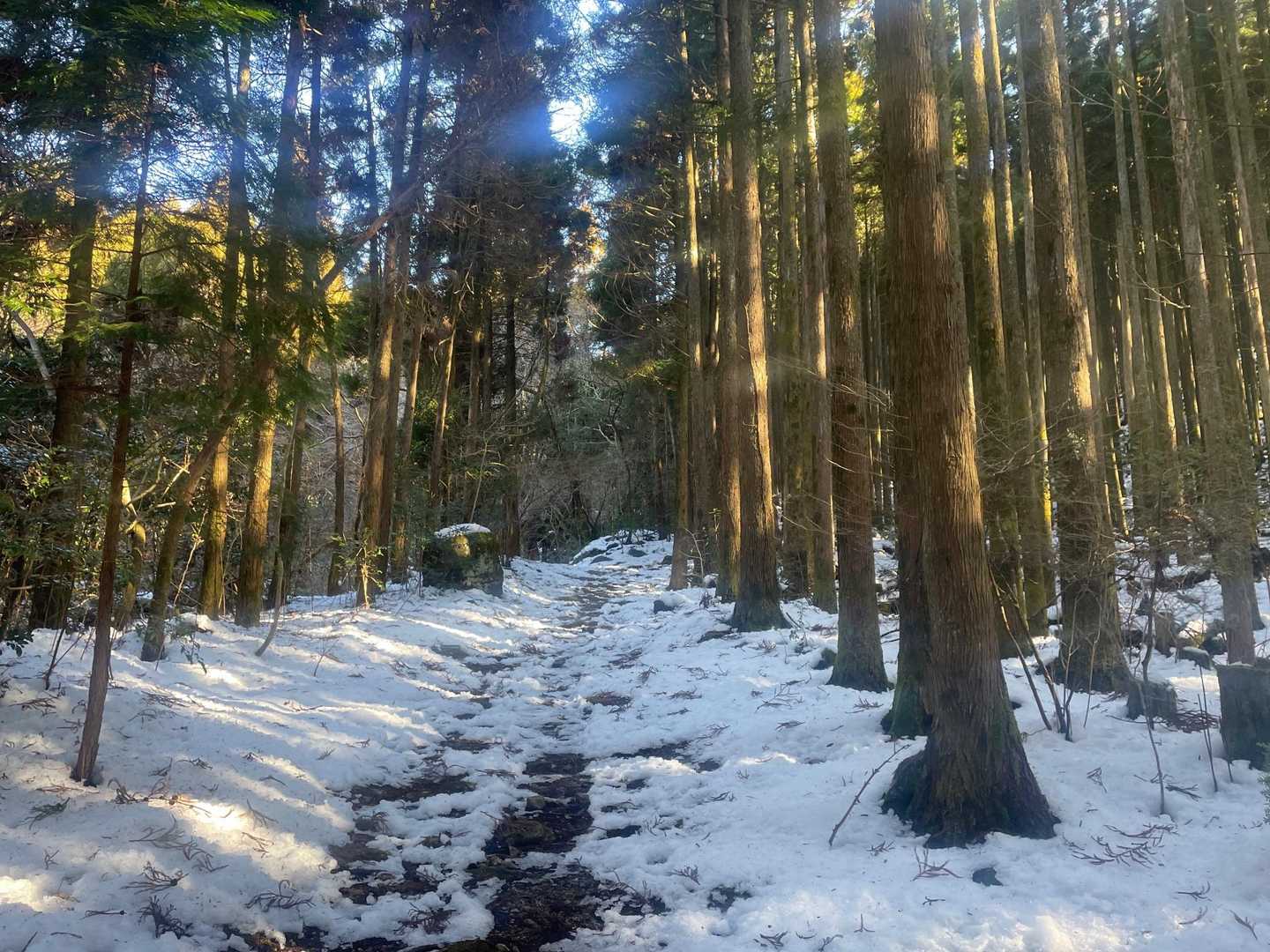 参道。