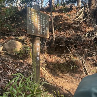 この看板3回くらいでてくる笑怖いから！