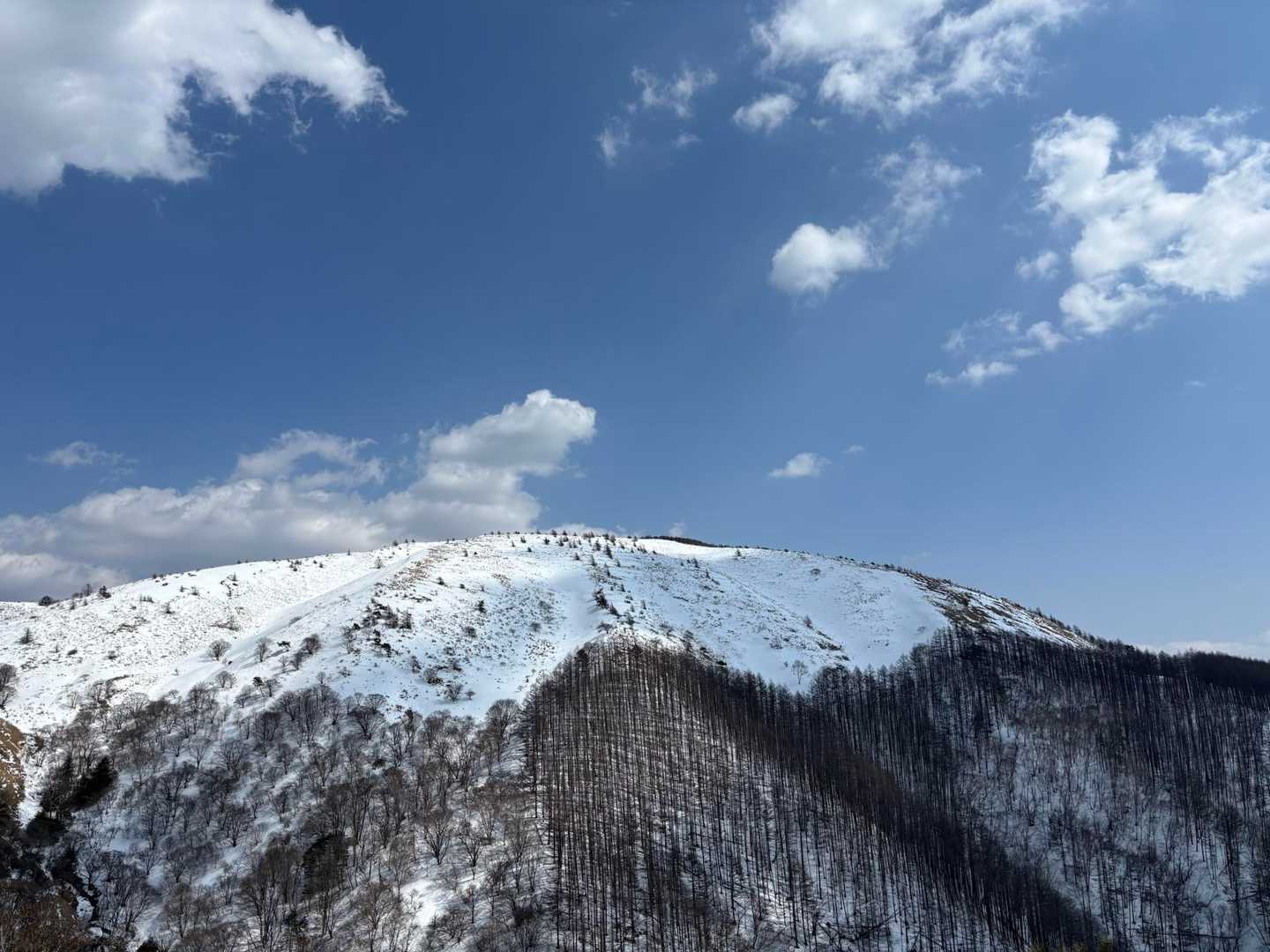 鉢伏山、またくるね