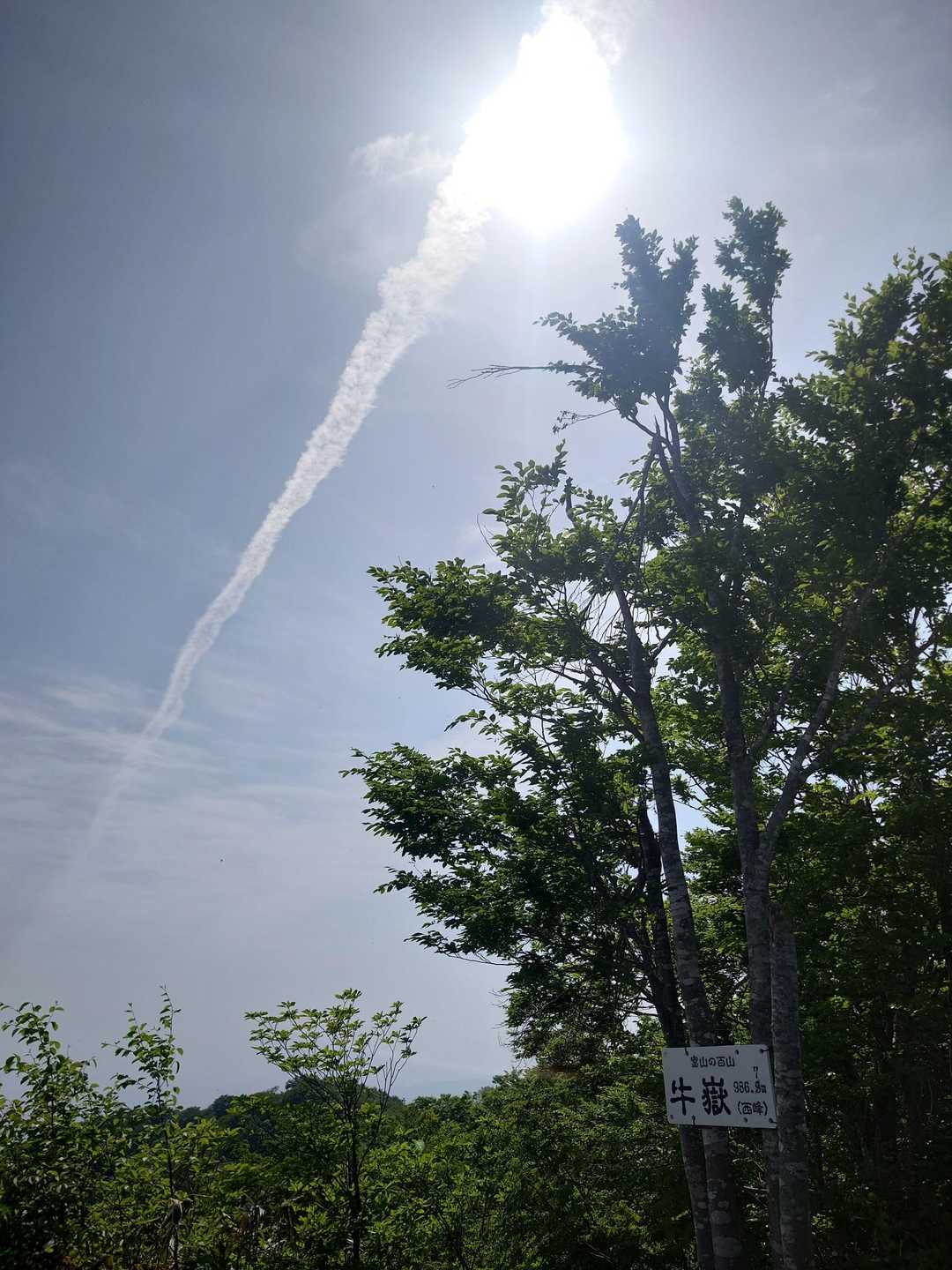 暑い！