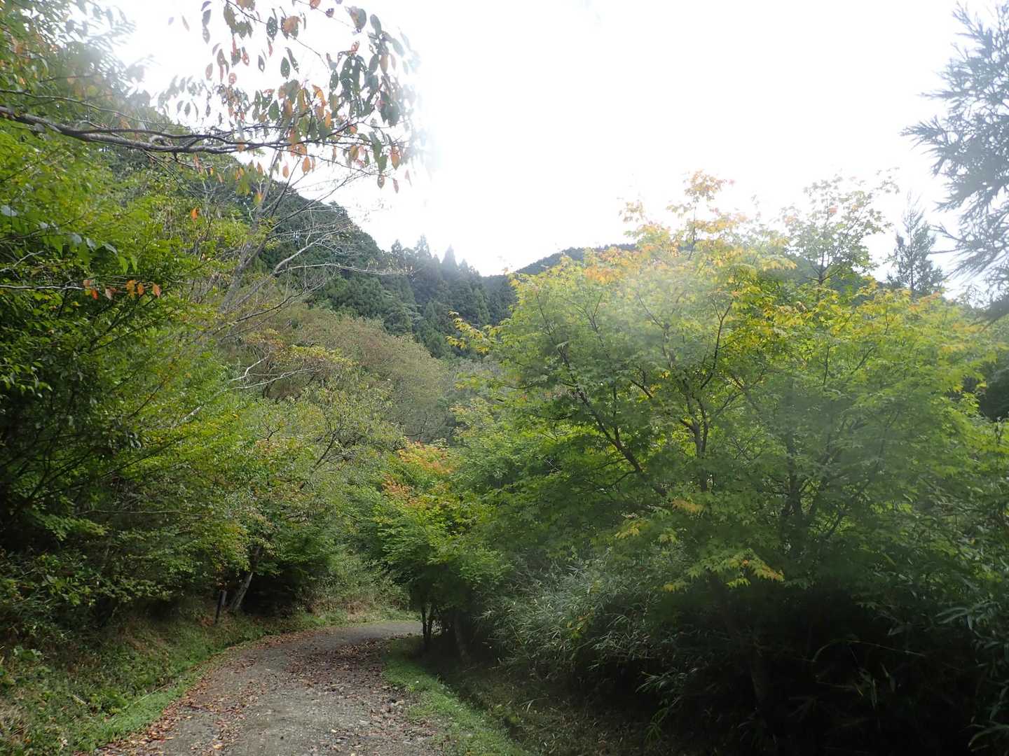 少し紅葉が、始まりかけてます😄