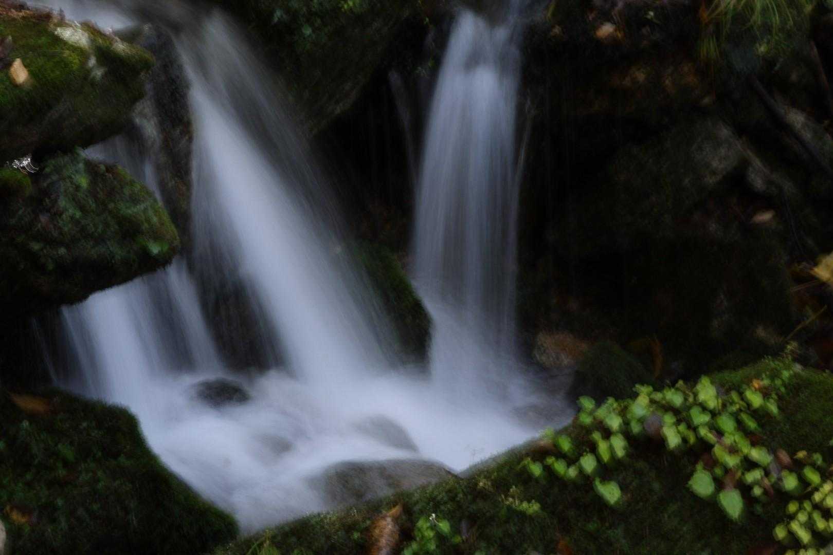 大滝根山 往復コースの写真