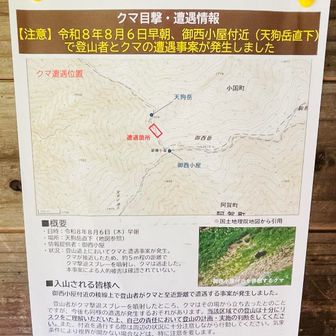 🐻出た日近い近い💦
