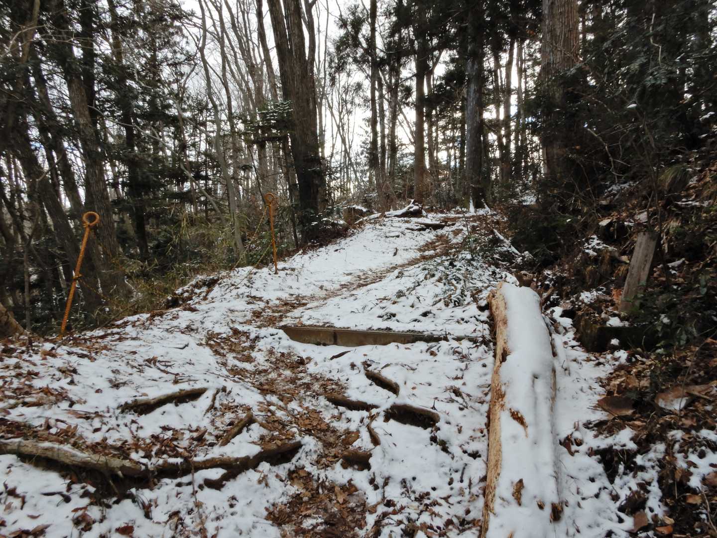 でも雪道を歩くのは新鮮で気持ち良いです。