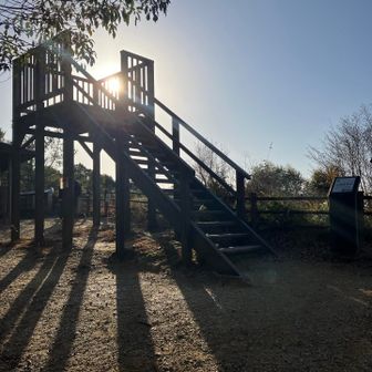 鴻ノ巣山⛰️山頂