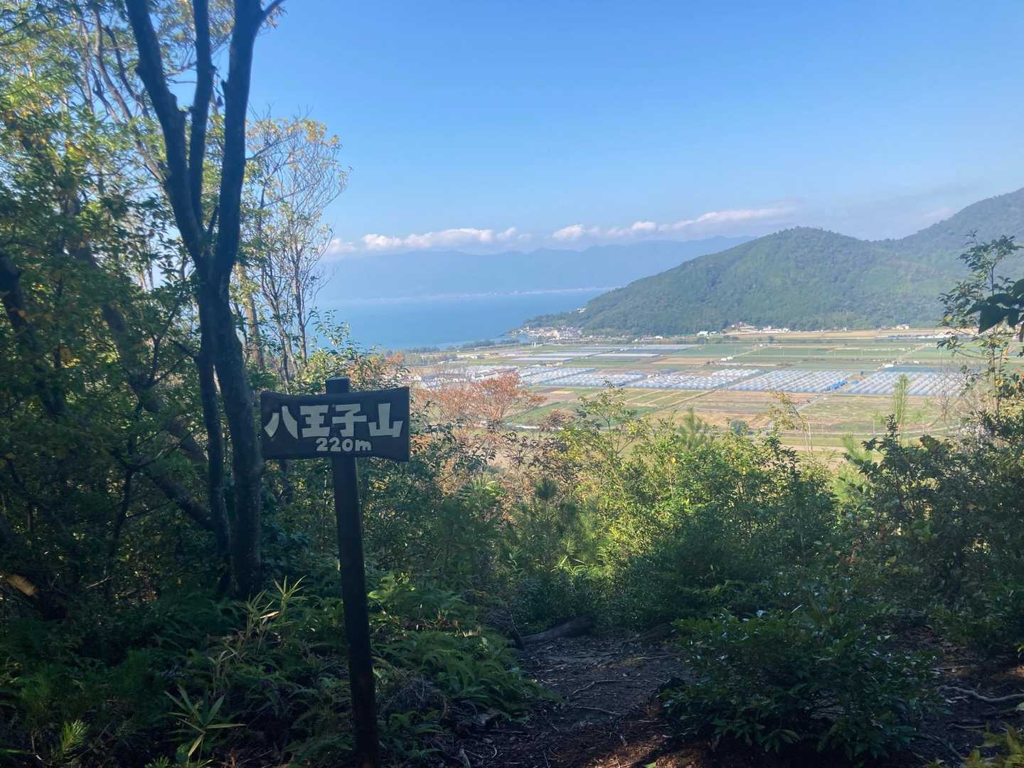望西峰-鶴翼山 往復コースの写真