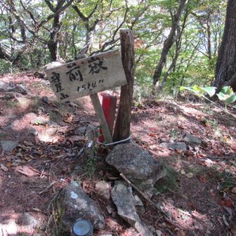 前嶽に寄り道しました。
守屋山の前衛峰と言うことですかね