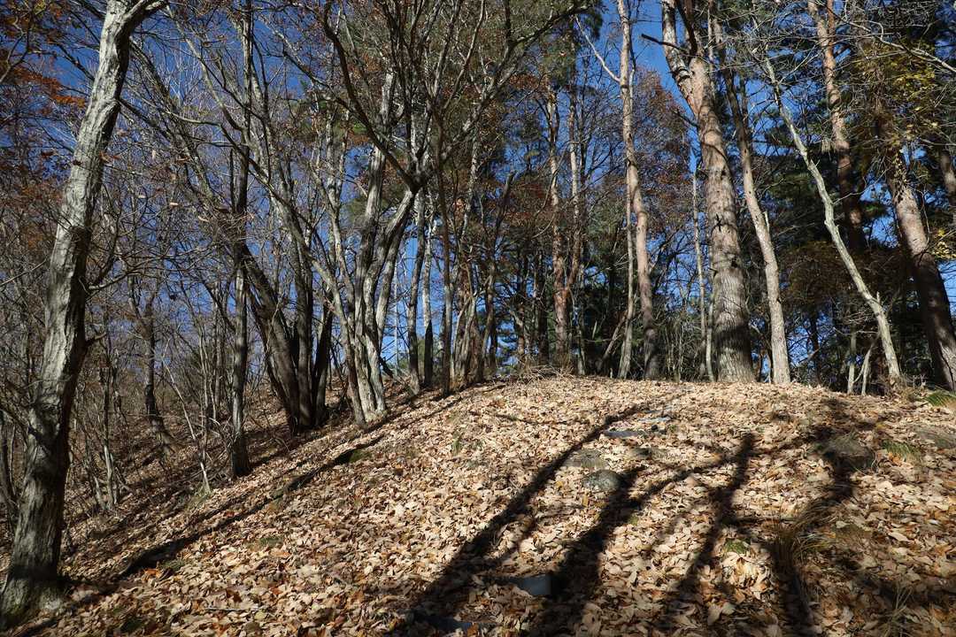 階段が落ち葉で埋もれ気味