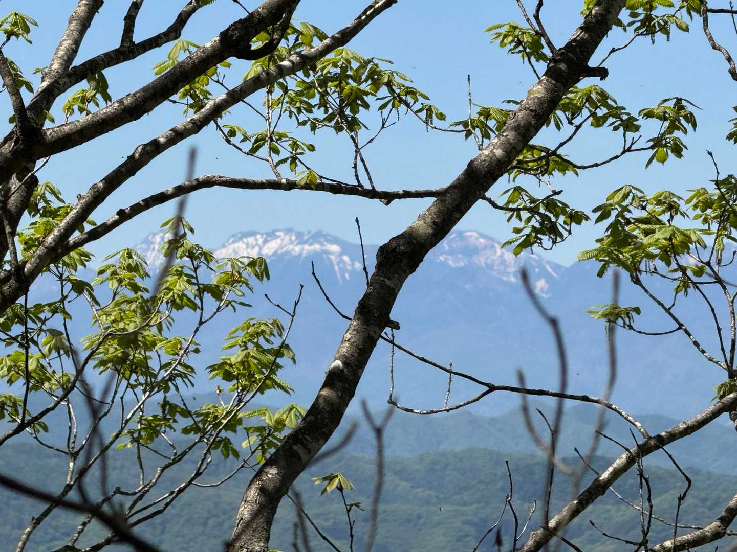 八ヶ岳？🏔️