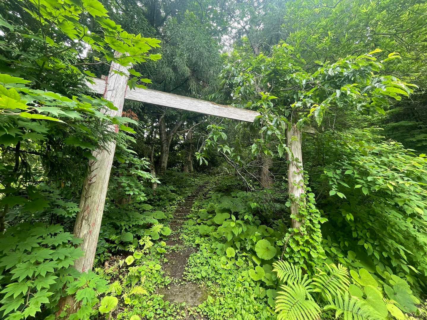 さてと、気合を入れて登ります