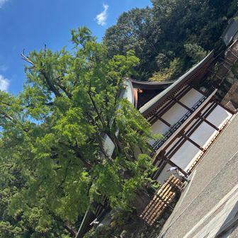 どこも立派で、