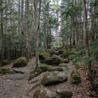 小雨が降っている。見る分には趣があるが、苔生した岩が輪をかけて滑りやすくになっているので歩く（降りる）身からすると肝が冷える