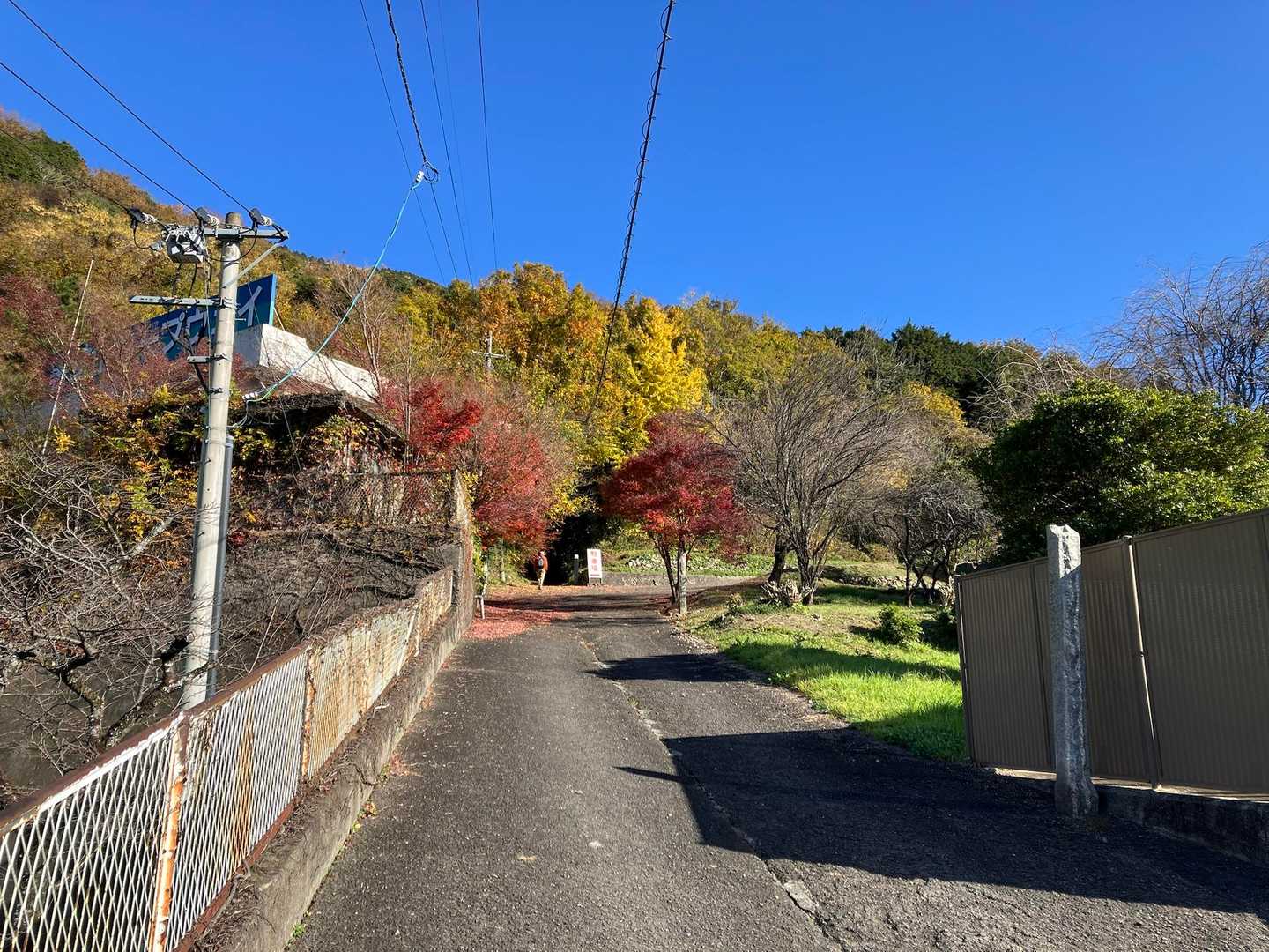 ロープウェイ横の登山道を登って行きます
いい天気〜☀️