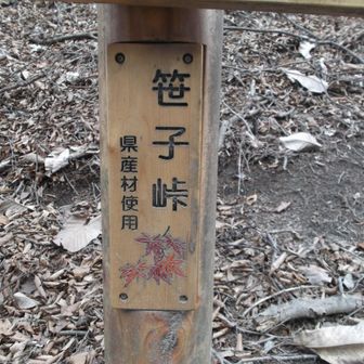 5座目の中尾根ノ頭があって笹子峠に到着。