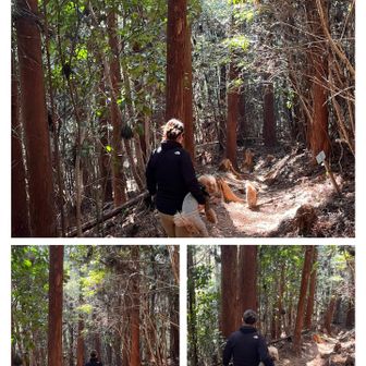 下りの段差が苦手な子を荷物のように持ってごめん😅　