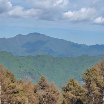 目の前に御前山がド～ンと✨
たかおーさ〜ん、こちらが先日ご覧になれなかった大羽根山の眺望ですよ～😊
確かに素晴らしい、けど、また尾根に登り返すの辛い～💦