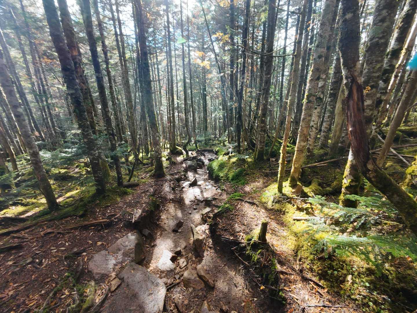 金峰山 | 神宿る巨石がそびえる奥秩父随一の霊山を、日本一高い車道峠からめざすの写真