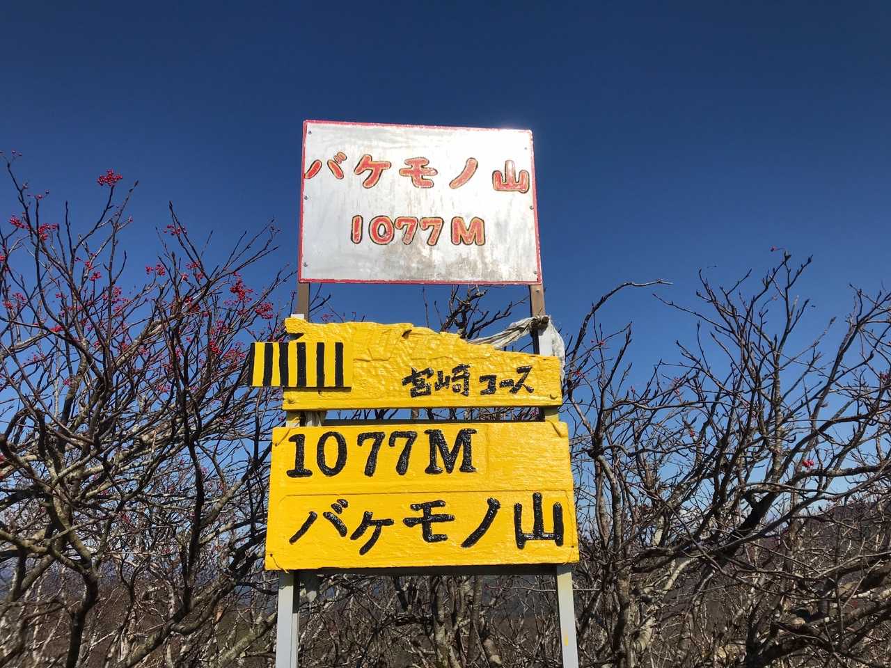 バケモノピーク