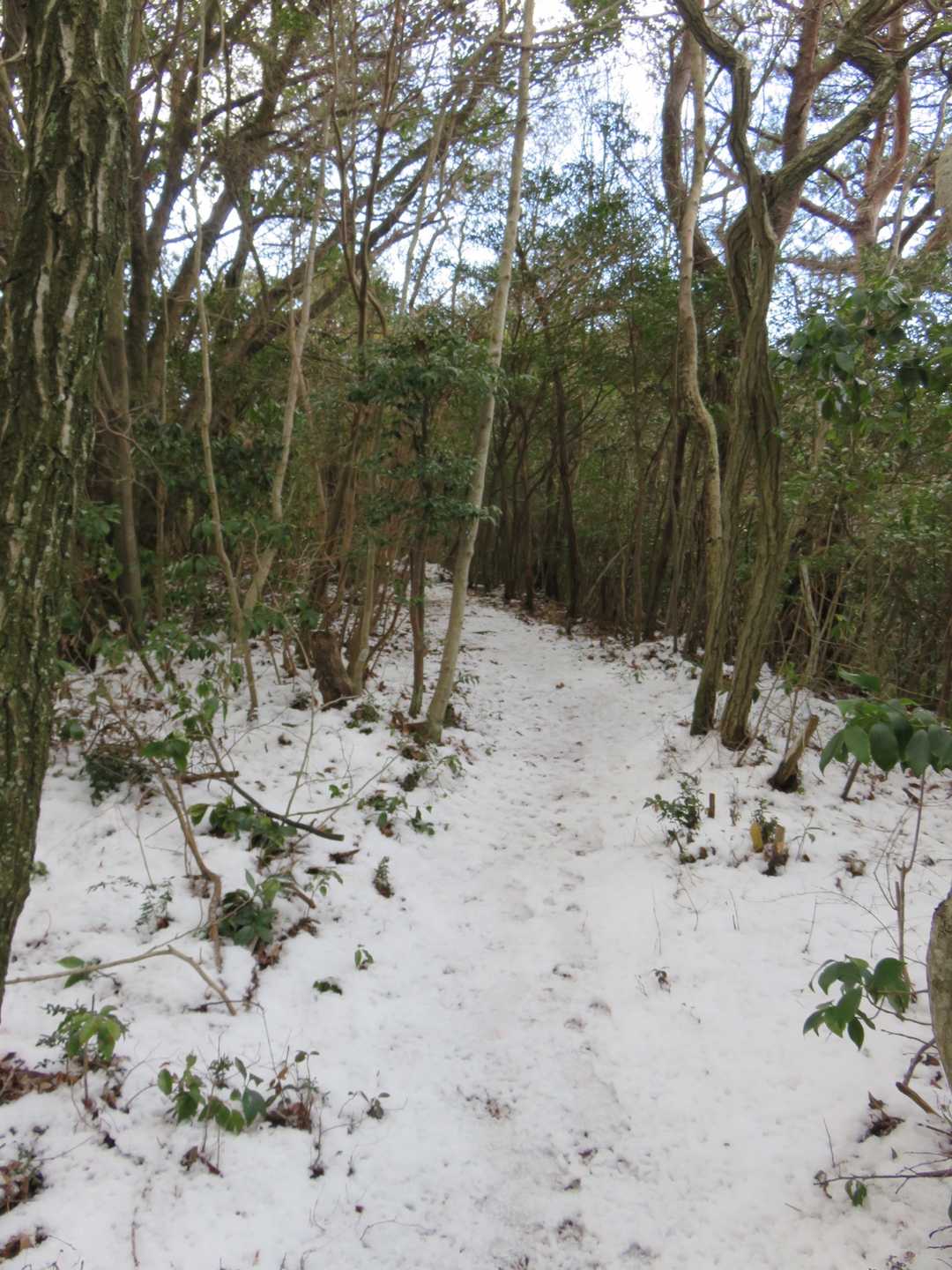 少し雪が目立つようになりました