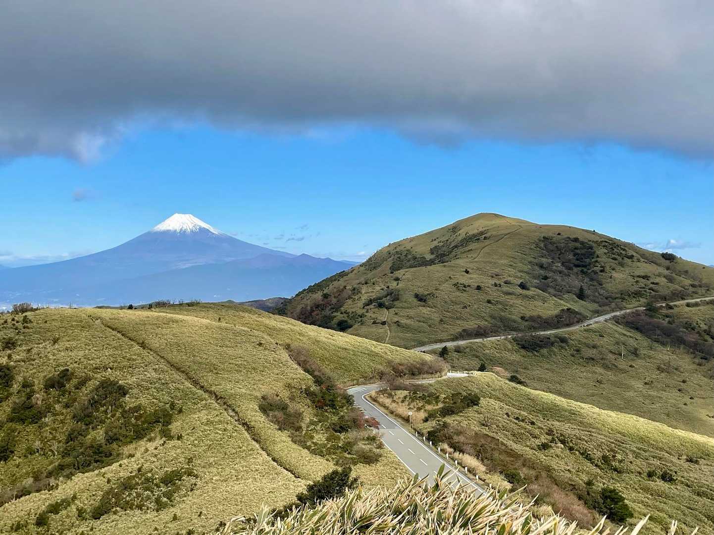 ここからは達磨山と富士山が並んで見えるね(#'ω')