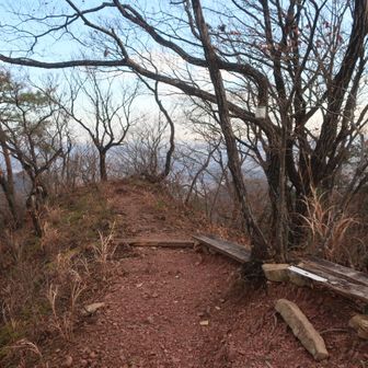 毛野山まで戻って稜線へ向かう