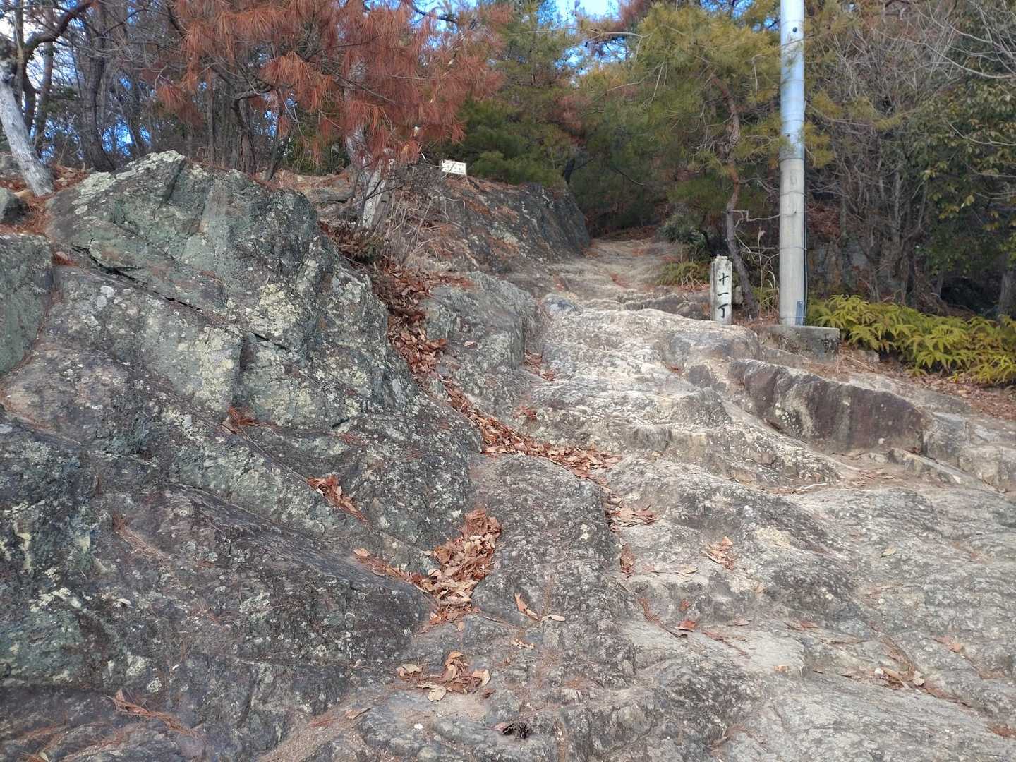 ずっとこんな道です。ここは十一丁