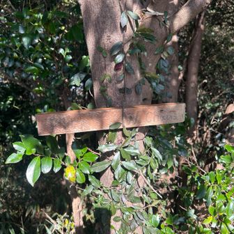 6座目　西茶臼　看板ほとんど読めない