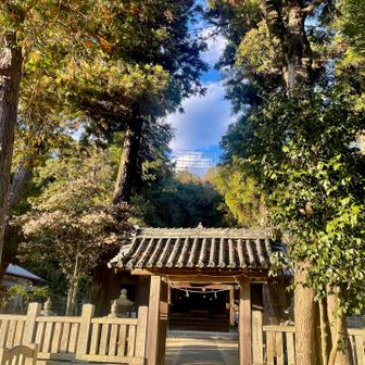 本日もありがとうございました。