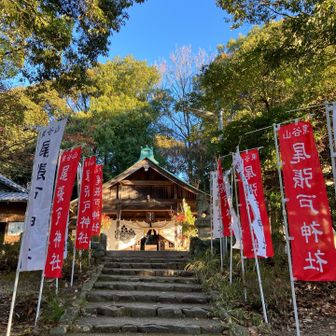 初詣に来れて良かった〜😊