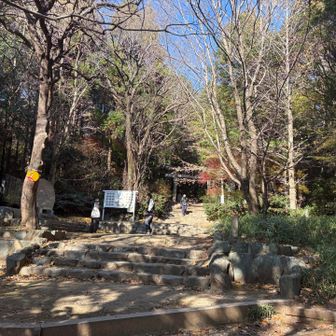 昼になるとあったかいね☀️