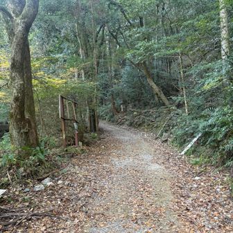 さあ行くよ🏃‍♀️
