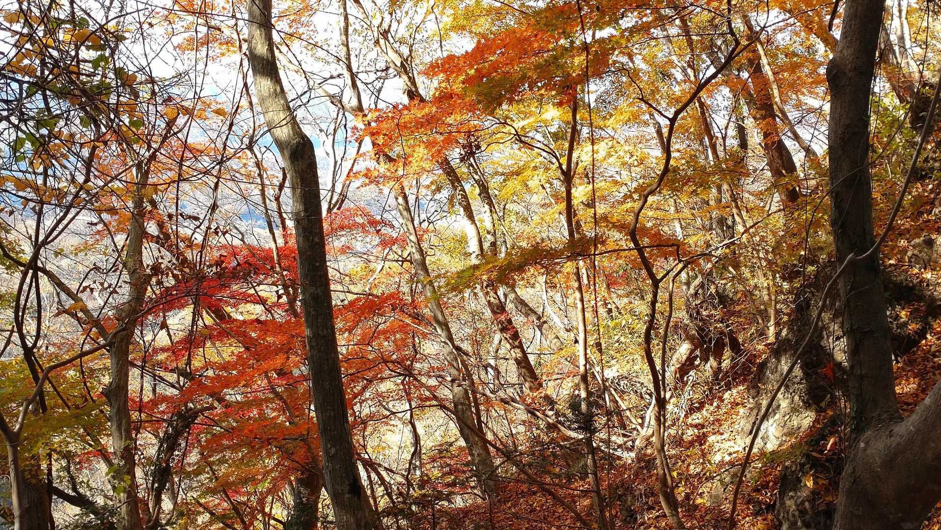 鍋転山-月居山-月居観音堂 周回コースの写真
