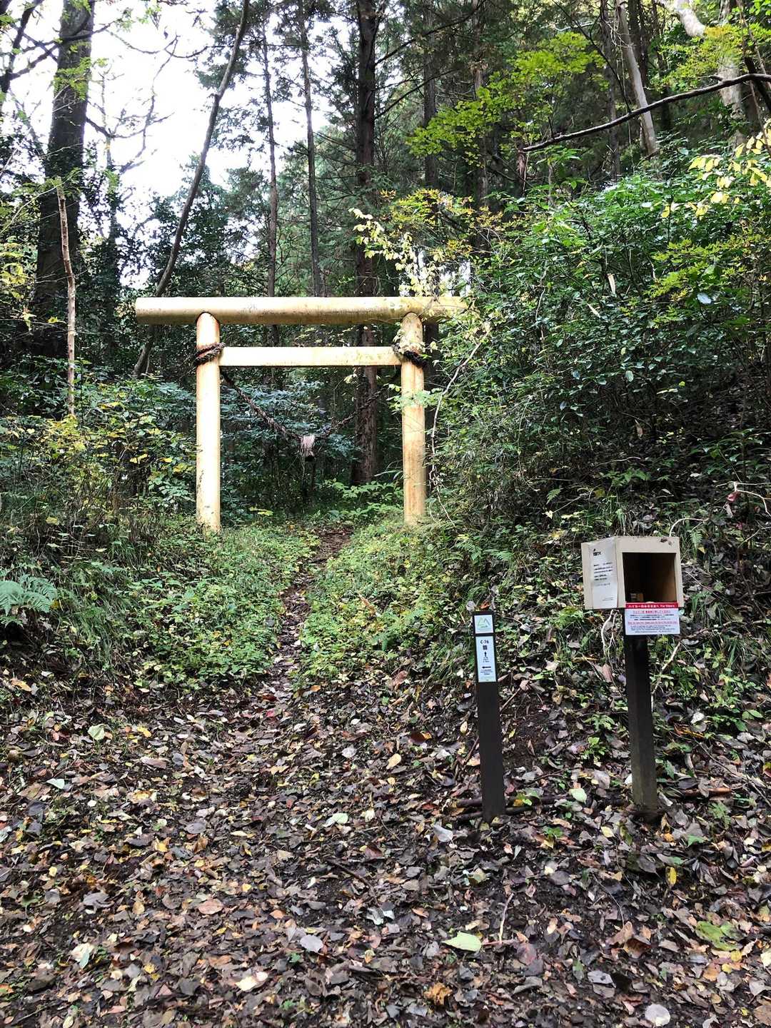 カウンターあり