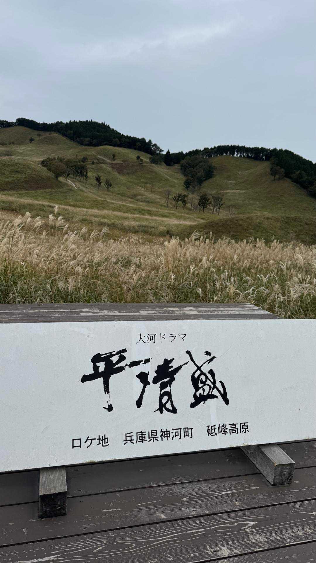大好きな大河ドラマ❤️