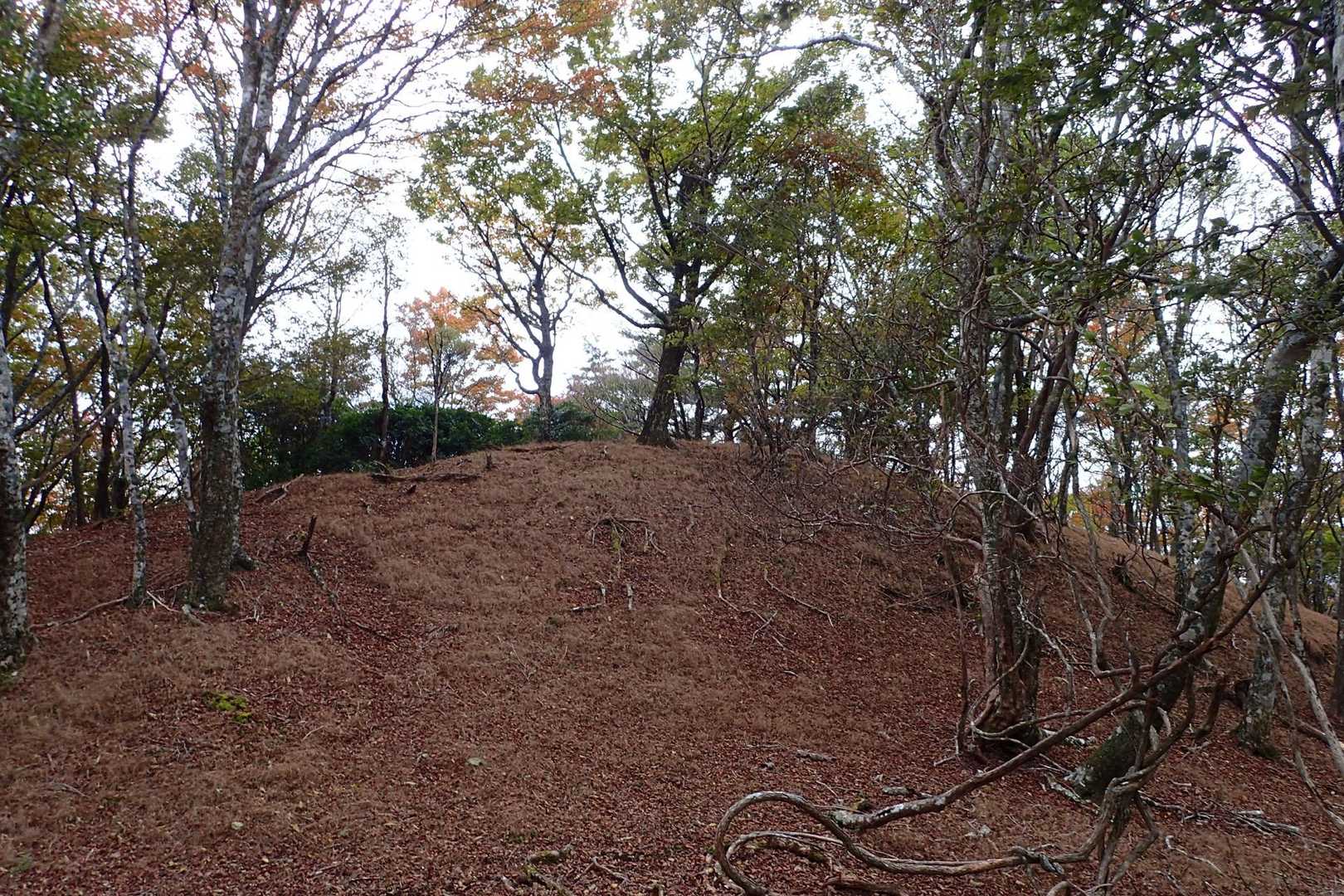 千間山🤣