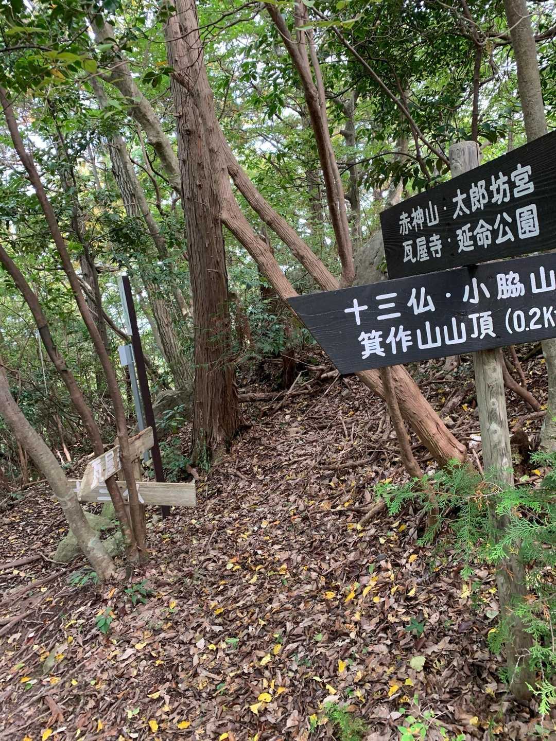左の箕作山山頂を目指します