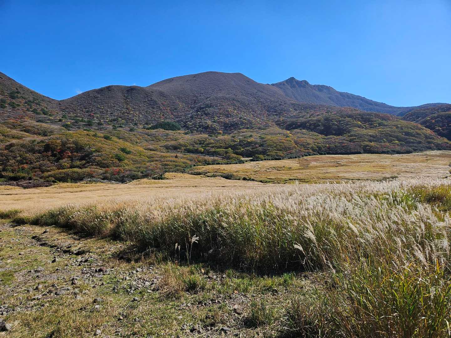 くじゅう登山口-雨ヶ池越-諏蛾守越-三俣山-指山自然観察路 周回コースの写真