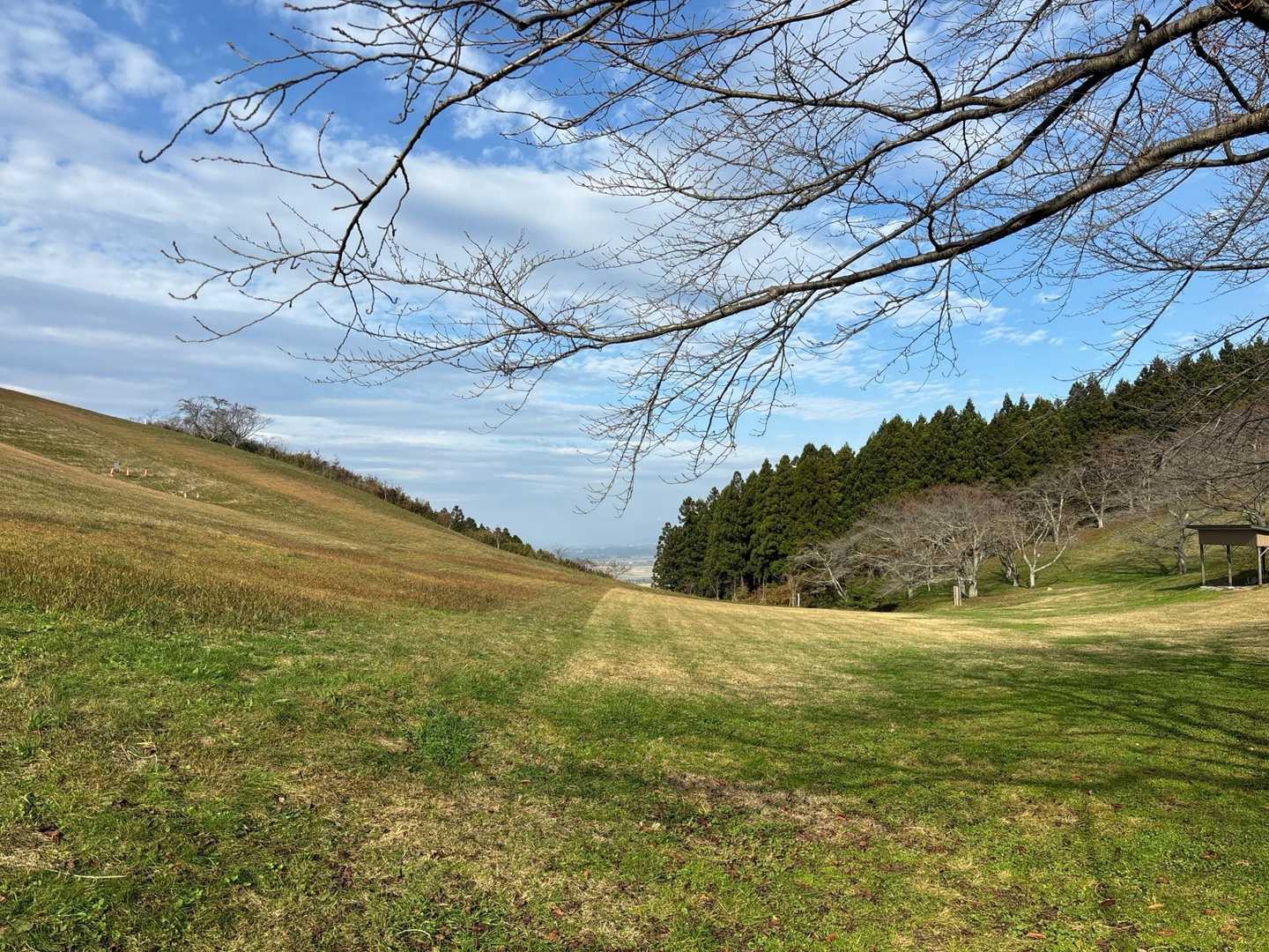 加護坊山 往復コースの写真